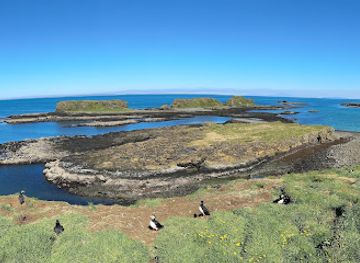 united-kingdom/isle-of-mull/attraction/lunga-treshnish-isles