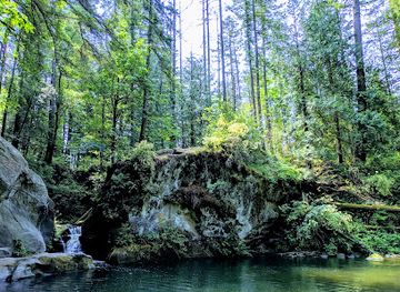 washington/bellingham/attraction/saint-clair-park