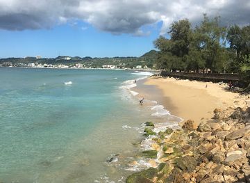 puerto-rico/aguadilla/attraction/banyan-treehouse