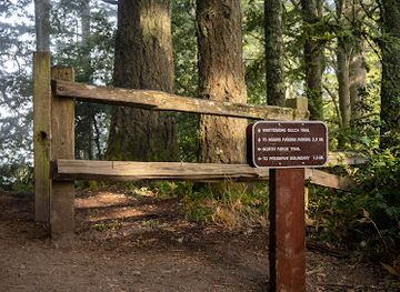 california/redwood-city/attraction/purisima-creek-redwoods-open-space-preserve