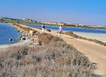 tunisia/the-cap-bon-peninsula/attraction/zariate