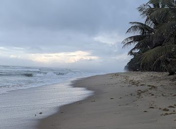 ghana/western-region/attraction/organic-beach-resort