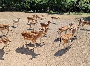 bosnia-and-herzegovina/bihac/attraction/ranch-valley-jelena-deer-valley-ranch