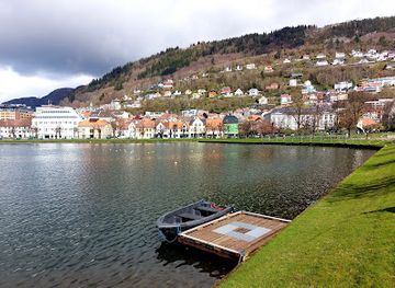 norway/hordaland/attraction/lille-lungegardsvannet