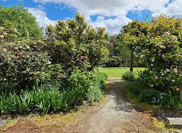 australia/barossa-valley/attraction/barossa-old-rose-repository