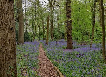 united-kingdom/middlesex/attraction/longspring-wood