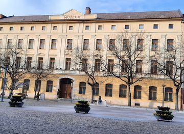 hungary/kunsag/attraction/damjanich-janos-museum