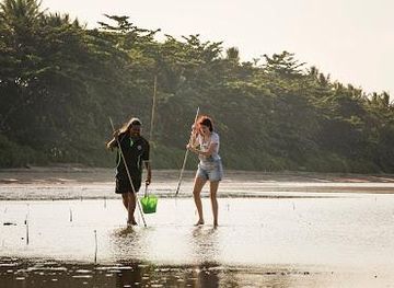 australia/port-douglas/attraction/kuku-yalanji-cultural-habitat-tours