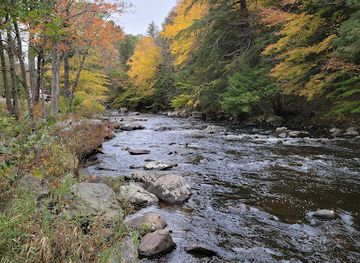 massachusetts/berkshires/attraction/tolland-state-forest