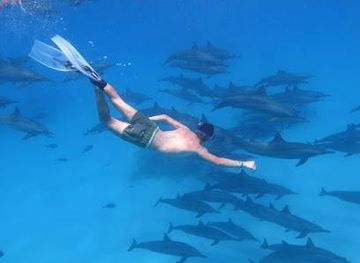 egypt/el-gouna/attraction/dolphin-house