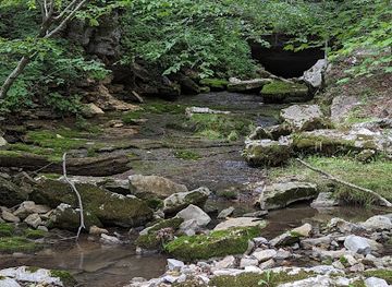 kentucky/sheltowee-trace-national-recreation-trail/attraction/fletcher-s-cave