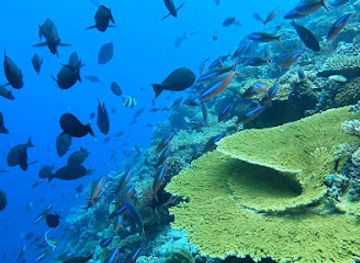 maldives/meemu-atoll/attraction/kandumoonu-kudagaa