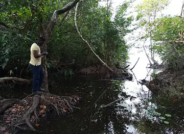 Mama's Lake