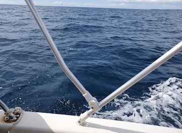 croatia/porec/attraction/dolphins