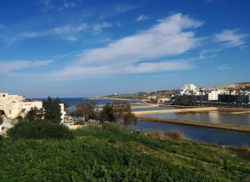 malta/bugibba/attraction/bird-park-malta