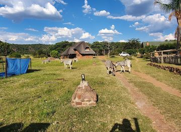 south-africa/bushveld/attraction/bambelela-wildlife-care-and-vervet-monkey-rehabilitation