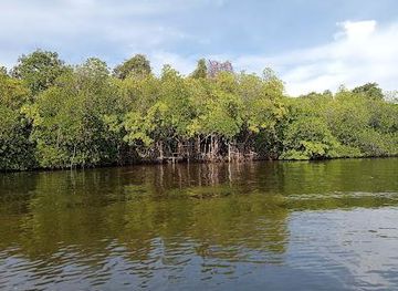 sri-lanka/hikkaduwa/attraction/madu-ganga-boat-safari