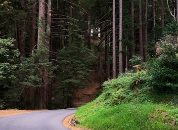 california/redwood-national-and-state-parks/attraction/thornewood-open-space-preserve