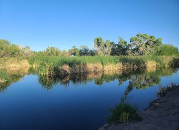 arizona/saguaro-national-park/attraction/sweetwater-wetlands-park