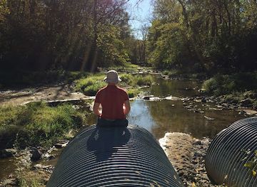 illinois/rock-river-valley/attraction/jubilee-college-state-park