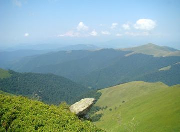 ukraine/pylypets/attraction/forest-rosishnyy