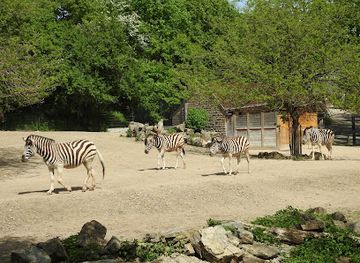 germany/erfurt/attraction/thuringian-zoo-park-erfurt