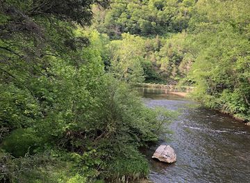 west-virginia/watoga-state-park/attraction/big-draft-wilderness