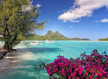french-polynesia/society-islands/attraction/bora-bora-moana-adventure-tours