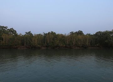 bangladesh/sundarbans-national-park/attraction/sundarban-mangrove-forest-bangladesh