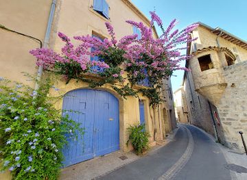 france/languedoc-roussillon/attraction/hotel-de-peyrat