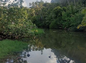 mayotte/maore/attraction/mouroni-bouka