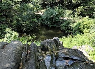 new-jersey/jersey-city/attraction/hallett-nature-sanctuary