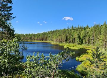 finland/savo/attraction/seinavuori-gorge