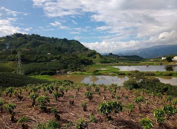 colombia/coffee-axis/attraction/malecon-cameguadua