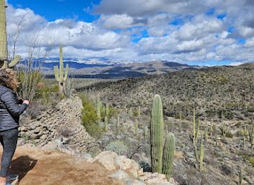 arizona/saguaro-national-park/attraction/saguaro-wilderness