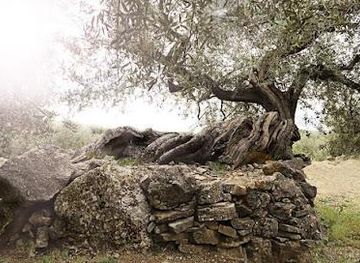 spain/malaga/attraction/aceites-mondron-olivalera-san-jose-artesano
