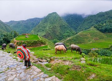 vietnam/sapa/attraction/sapa-green-valley