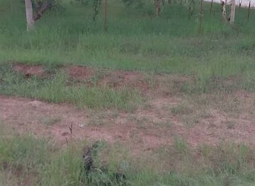 senegal/lompoul-desert/attraction/croisement-leona