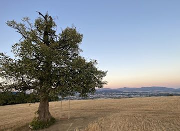 slovakia/trencin-region/attraction/hojdacka-nad-trencinom