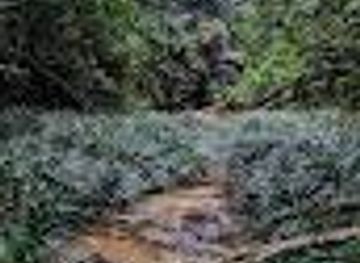 malaysia/kuantan/attraction/air-terjun-orkid-sg-pandan