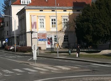 slovenia/maribor/attraction/umetnostna-galerija-maribor