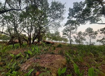 india/meghalaya/attraction/laitkynsew-view-point