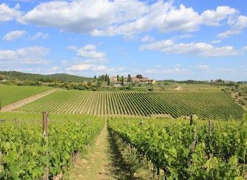 italy/siena/attraction/tenuta-il-torrione-agriturismo