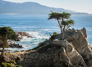 california/carmel-by-the-sea/attraction/cypress-point-lookout