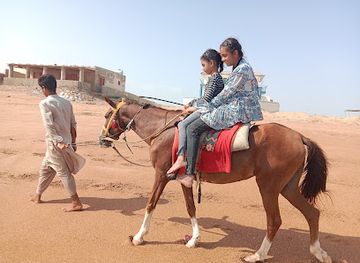 pakistan/lasbela/attraction/dib-pakistan-beach-hut