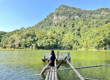 vietnam/north-central-coast/attraction/cuc-phuong-national-park