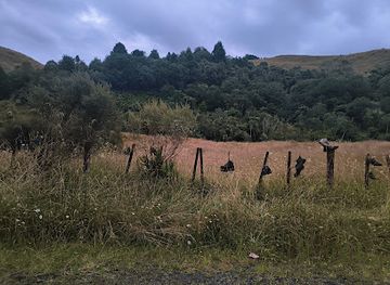 new-zealand/waitomo-caves/attraction/te-anga-boot-fence