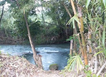 jamaica/savanna-la-mar/attraction/cabarita-river-adventure-mesopotamia-leisure-farm