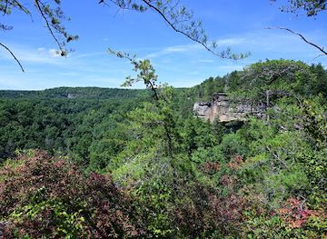 tennessee/cumberland-plateau/attraction/pogue-creek-canyon-state-natural-area