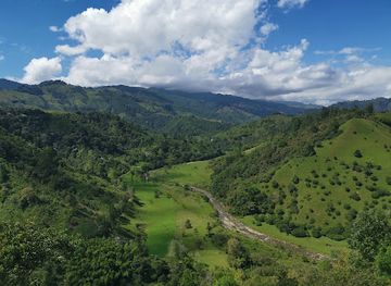colombia/cocora-valley/attraction/finca-el-mirador-montanero